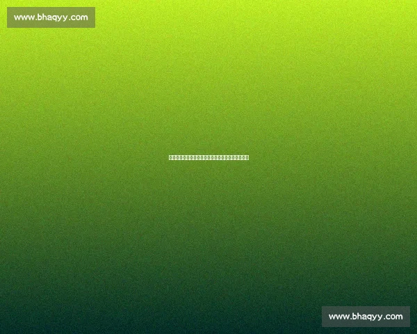 李磊转会风云：两球队竞逐，河南明确否认参与谈判