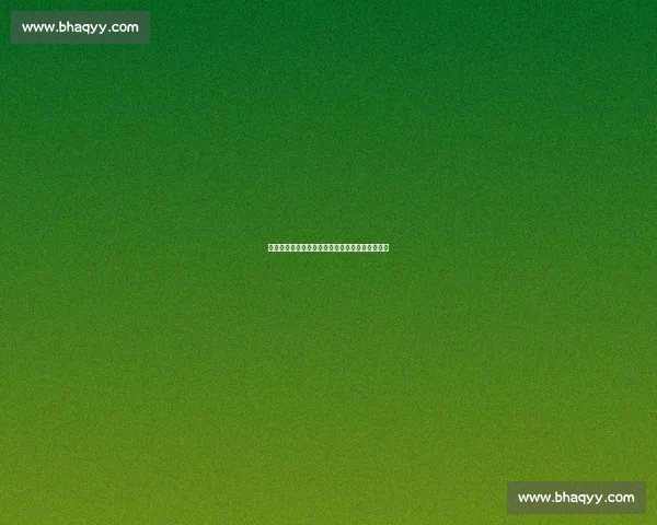 杨阳接棒深篮体育:开启中国篮球生态建设新篇章