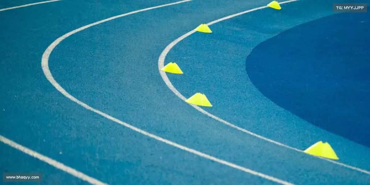 为什么选择我们